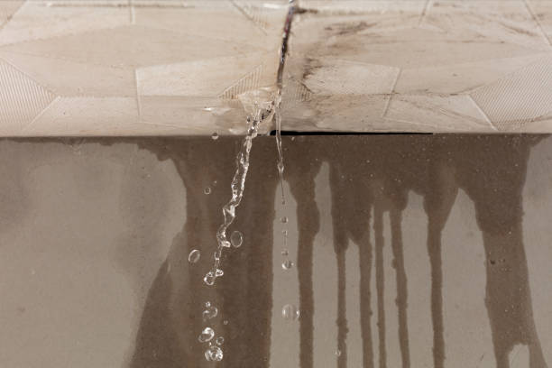 Professional Water Damage Inspection technician working in Frost, TX